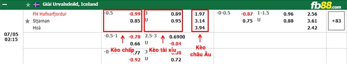 fb88-bảng kèo trận đấu Hafnarfjordur vs Stjarnan Gardabaer