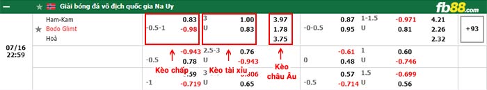 fb88-bảng kèo trận đấu HamKam vs Bodo Glimt