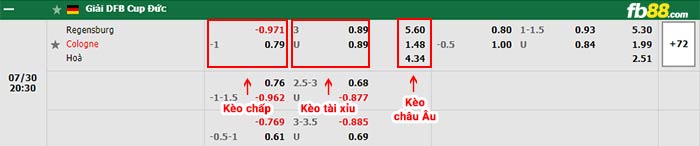 fb88-bảng kèo trận đấu Jahn Regensburg vs Koln