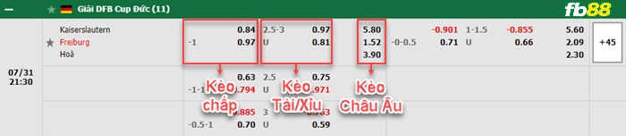 Fb88 tỷ lệ kèo trận đấu Elfsborg vs Hacken