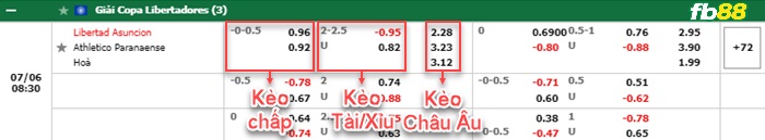 Fb88 bảng kèo trận đấu Libertad vs Atletico Paranaense