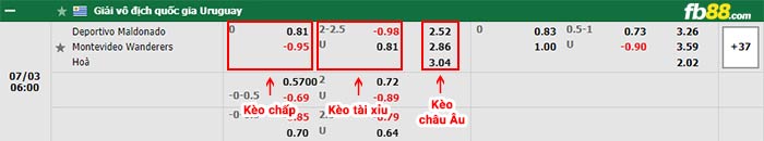 fb88-bảng kèo trận đấu Maldonado vs Montevideo Wanderers