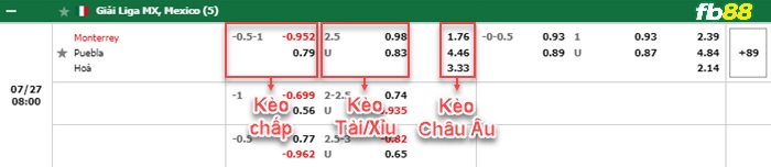 Fb88 bảng kèo trận đấu Monterrey vs Puebla