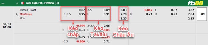 Fb88 bảng kèo trận đấu Pumas UNAM vs Monterrey