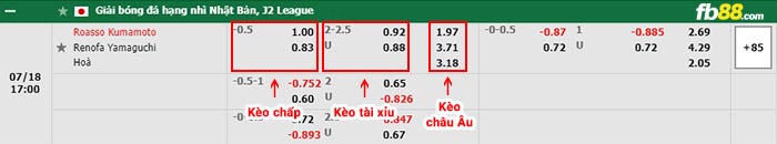 fb88-bảng kèo trận đấu Roasso Kumamoto vs Renofa Yamaguchi