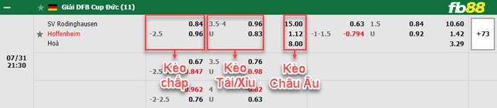 Fb88 bảng kèo trận đấu Rodinghausen vs Hoffenheim