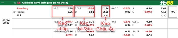Fb88 bảng kèo trận đấu Rosenborg vs Tromso