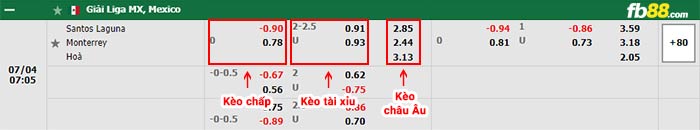 fb88-bảng kèo trận đấu Santos Laguna vs Monterrey