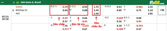 fb88-bảng kèo trận đấu Santos vs Botafogo