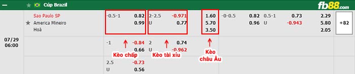 fb88-bảng kèo trận đấu Sao Paulo vs America MG