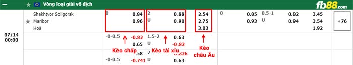 fb88-bảng kèo trận đấu Shakhter Soligorsk vs Maribor