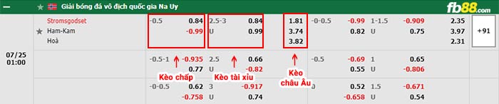 fb88-bảng kèo trận đấu Stromsgodset vs HamKam