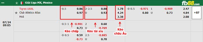 fb88-bảng kèo trận đấu Tigres UANL vs Atlas