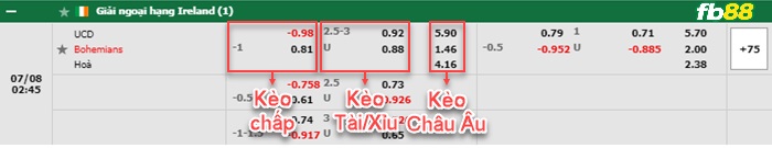 Fb88 bảng kèo trận đấu UC Dublin vs Bohemians