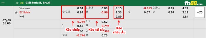 fb88-bảng kèo trận đấu Vila Nova vs Bahia