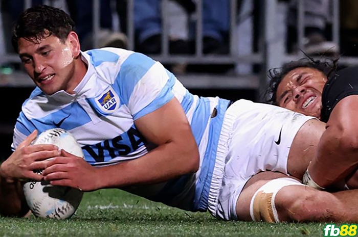 New Zealand 18-25 Argentina