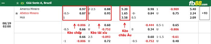 fb88-bảng kèo trận đấu America MG vs Atletico Mineiro