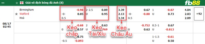 Fb88 bảng kèo trận đấu Birmingham vs Watford