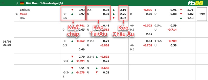 Fb88 bảng kèo trận đấu Bochum vs Mainz