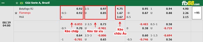 fb88-bảng kèo trận đấu Botafogo vs Flamengo