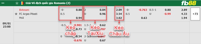 Fb88 bảng kèo trận đấu Oskarshamns vs Elfsborg