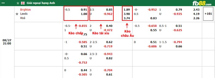 fb88-bảng kèo trận đấu Brighton vs Leeds