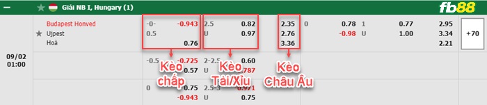 Fb88 tỷ lệ kèo trận đấu Oskarshamns vs Elfsborg