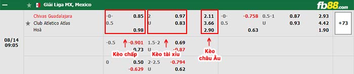 fb88-bảng kèo trận đấu Chivas Guadalajara vs Atlas