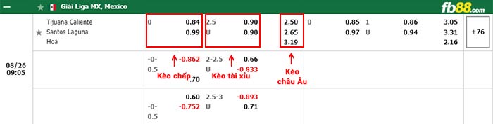 fb88-thông số trận đấu Pachuca vs Atlas