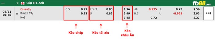 fb88-bảng kèo trận đấu Coventry vs Bristol City