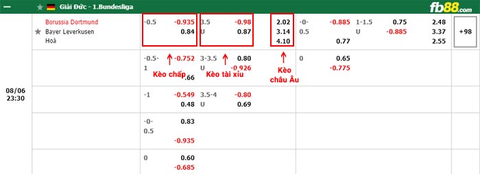 fb88-bảng kèo trận đấu Dortmund vs Leverkusen