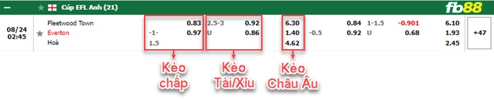 Fb88 bảng kèo trận đấu Fleetwood vs Everton