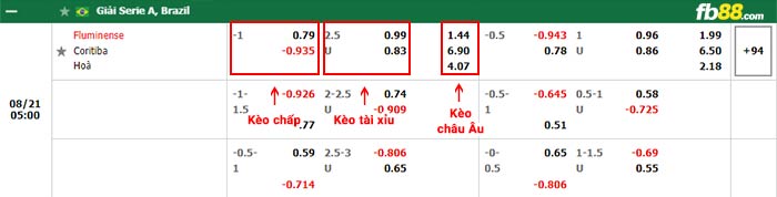 fb88-bảng kèo trận đấu Fluminense vs Coritiba