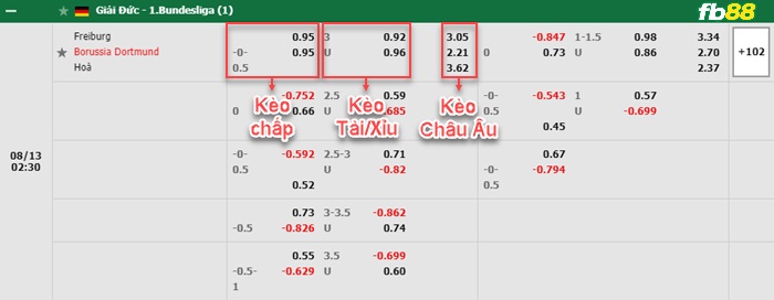 Fb88 bảng kèo trận đấu Freiburg vs Dortmund