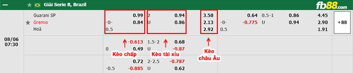 fb88-bảng kèo trận đấu Guarani vs Gremio