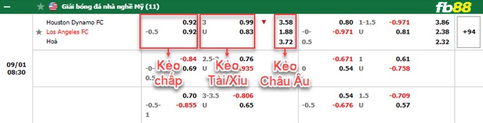 Fb88 bảng kèo trận đấu Houston Dynamo vs Los Angeles