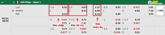 fb88-bảng kèo trận đấu Lyon vs Auxerre