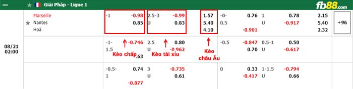 fb88-bảng kèo trận đấu Marseille vs Nantes