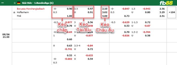 Fb88 bảng kèo trận đấu Monchengladbach vs Hoffenheim