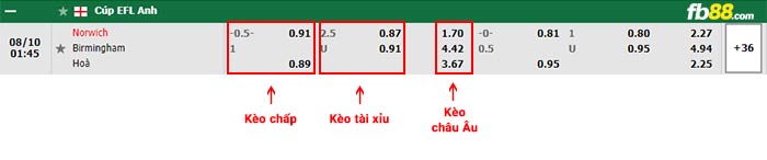 fb88-bảng kèo trận đấu Norwich vs Birmingham