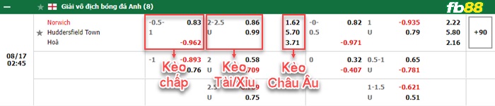 Fb88 bảng kèo trận đấu Norwich vs Huddersfield