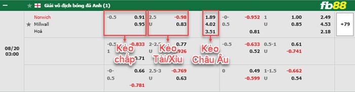 Fb88 bảng kèo trận đấu Norwich vs Millwall