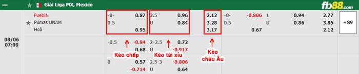 fb88-thông số trận đấu Gimnasia LP vs Godoy Cruz