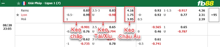 Fb88 bảng kèo trận đấu Reims vs Lyonnais