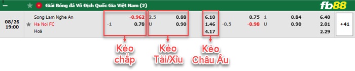 Fb88 bảng kèo trận đấu SLNA vs Hà Nội FC