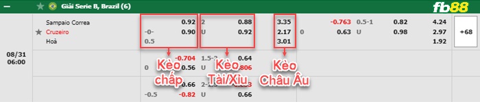 Fb88 bảng kèo trận đấu Sampaio vs Cruzeiro