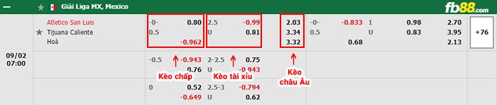 fb88-bảng kèo trận đấu San Luis vs Club Tijuana