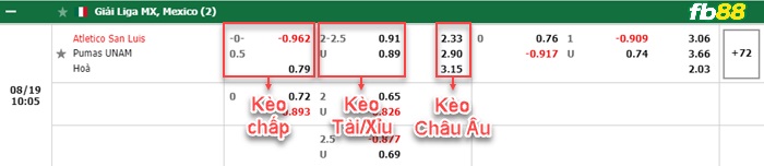 Fb88 bảng kèo trận đấu Caen vs AC Ajaccio