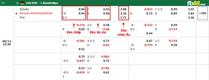 fb88-bảng kèo trận đấu Schalke vs Monchengladbach