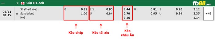fb88-bảng kèo trận đấu Sheffield Wed vs Sunderland
